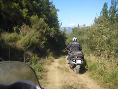 IMG_0523 IMG_0523