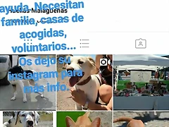 Mar?a IG Stories 20-5-2017 (2) Mar?a IG Stories 20-5-2017 (2)