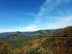 DSCN1003 DSCN1003