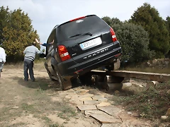IMG_4113 IMG_4113