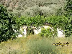 11, cortijo abandonado en ruinas, marca