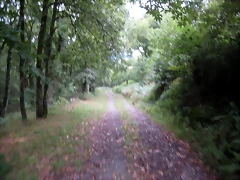 IMG_0257 IMG_0257