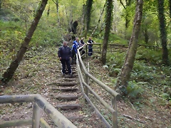 DSCN8737 DSCN8737