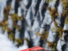 DSC_0488 DSC_0488