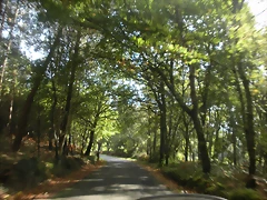 DSCN9815 DSCN9815