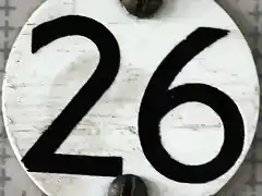 26