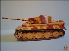tiger I_011 (2) tiger I_011 (2)