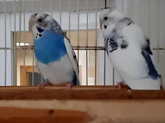 20180922_124142 20180922_124142