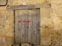 IMG_1689 IMG_1689