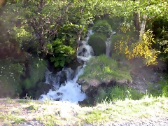 DSCN5152 DSCN5152