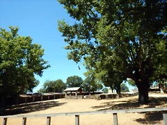 DSCN4924 DSCN4924