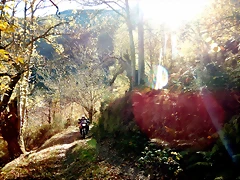 DSCN9675 DSCN9675