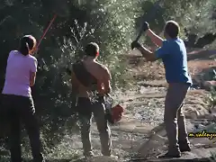 10, Cati, Vicente y Pedro vareando, marca