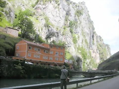 DSCN8243 DSCN8243