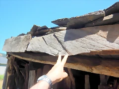 DSCN7781 DSCN7781