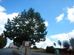 DSCN9027 DSCN9027