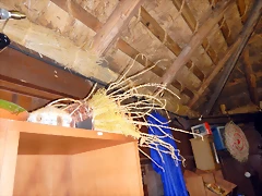 DSCN8425 DSCN8425