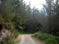 DSCN5314 DSCN5314