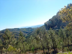 DSCN8964 DSCN8964