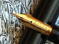 MBSc