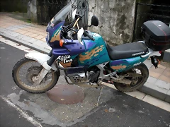 DSCN0950 DSCN0950
