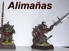 2alimaas