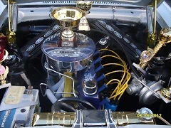 SDC14169 SDC14169
