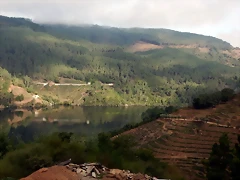 DSCN1151
