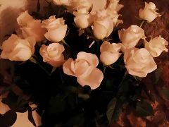 16-11-2012 (4) 16-11-2012 (4)