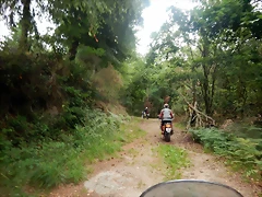 DSCN5310 DSCN5310