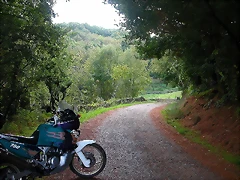 DSCN5335 DSCN5335