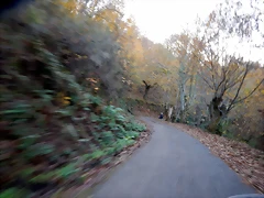 DSCN0018 DSCN0018
