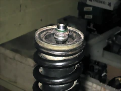 IMG_0235 IMG_0235