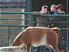 Zoo de Barcelona 03-01-12 181 Zoo de Barcelona 03-01-12 181
