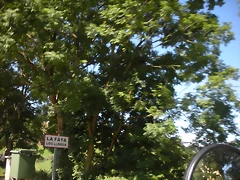 DSCN3792 DSCN3792