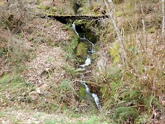 DSCN4827 DSCN4827