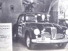 Alfa Romeo 1900 TI  -  TdF'53 - Dubonnet-Dubonnet