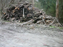 DSCN8167 DSCN8167