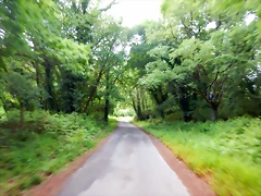 DSCN5219