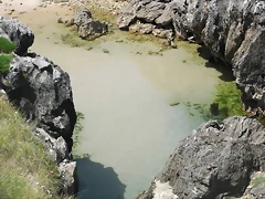 R0012798 R0012798