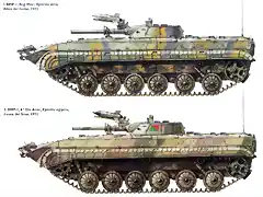 BMP-1lamina A (2)