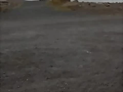 ROCA ROCA