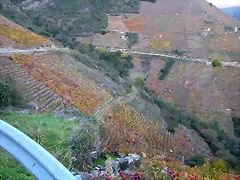 DSCN6563 DSCN6563