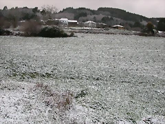 DSCN7513 DSCN7513