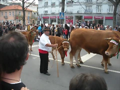 DSCN3750