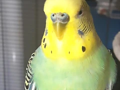 20170713_131501