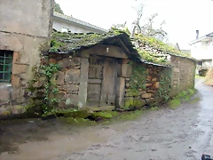 DSCN7339 DSCN7339