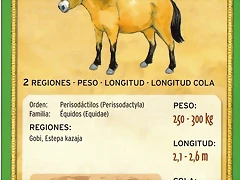 caballo de przewalski