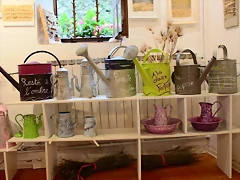 IMG_7761 IMG_7761