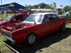 SDC13515 SDC13515